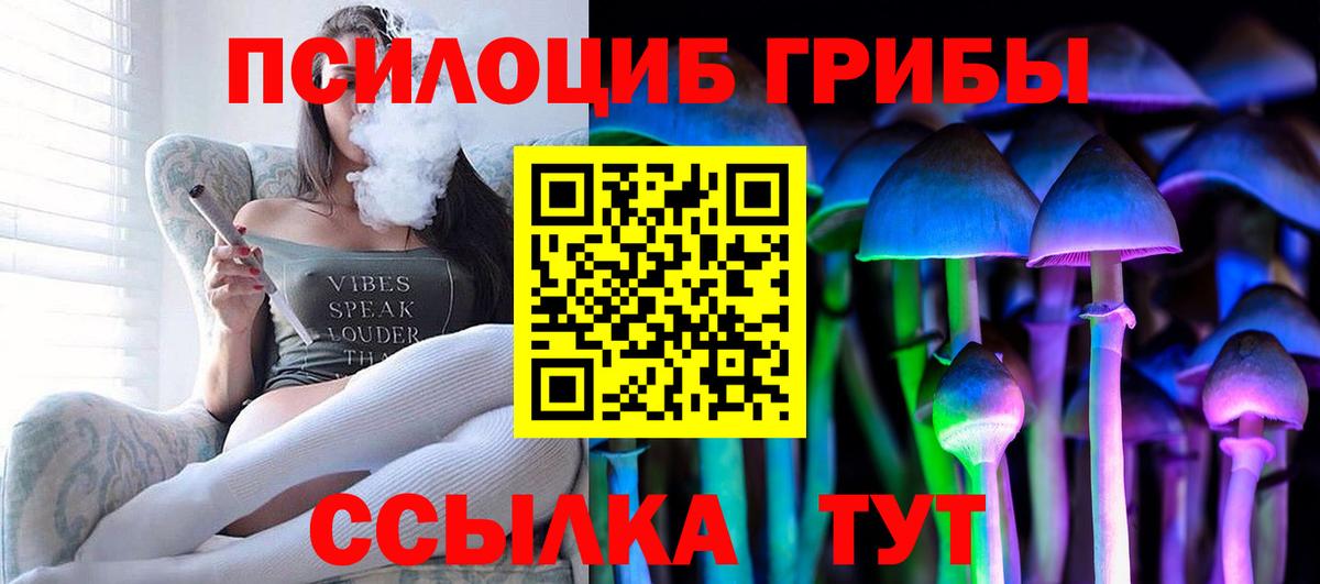 Псилоцибиновые грибы Psilocybe Абинск